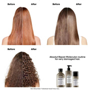 L'Oreal Absolut Repair Molecular Shampoo 300ml