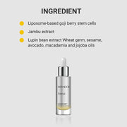 Skeyndor Eternal - Redensifying Night Oil 30ml – Skeyndor skincare product at Reflexions Salon India
