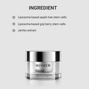 Skeyndor Eternal - Redensifying Rich Cream 50ml – Skeyndor skincare product at Reflexions Salon India