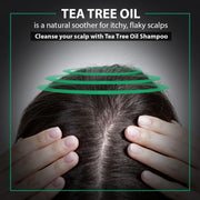 De Fabulous - Tea Tree Oil Shampoo 250ml - Reflexions Salon
