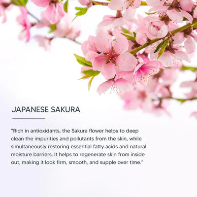 Lotus Professional - DermoSpa Japanese Sakura Skin Whitening Nourishing Night Crème 50g - Reflexions Salon